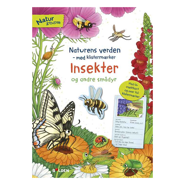 Natur Zoom: Insekter