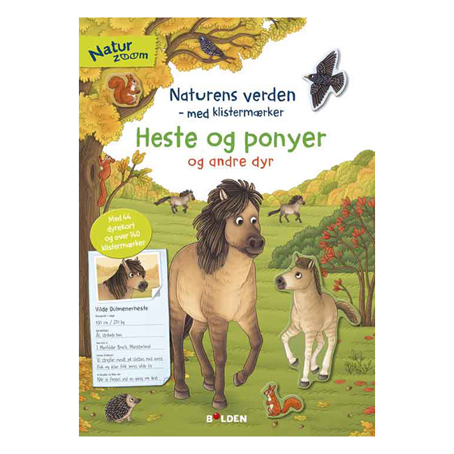 Natur Zoom: Heste og ponyer
